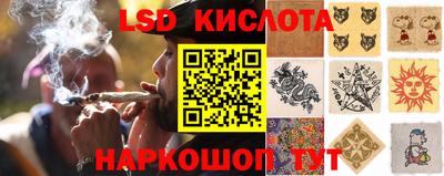 ГАЛЛЮЦИНОГЕННЫЕ ГРИБЫ Краснодар